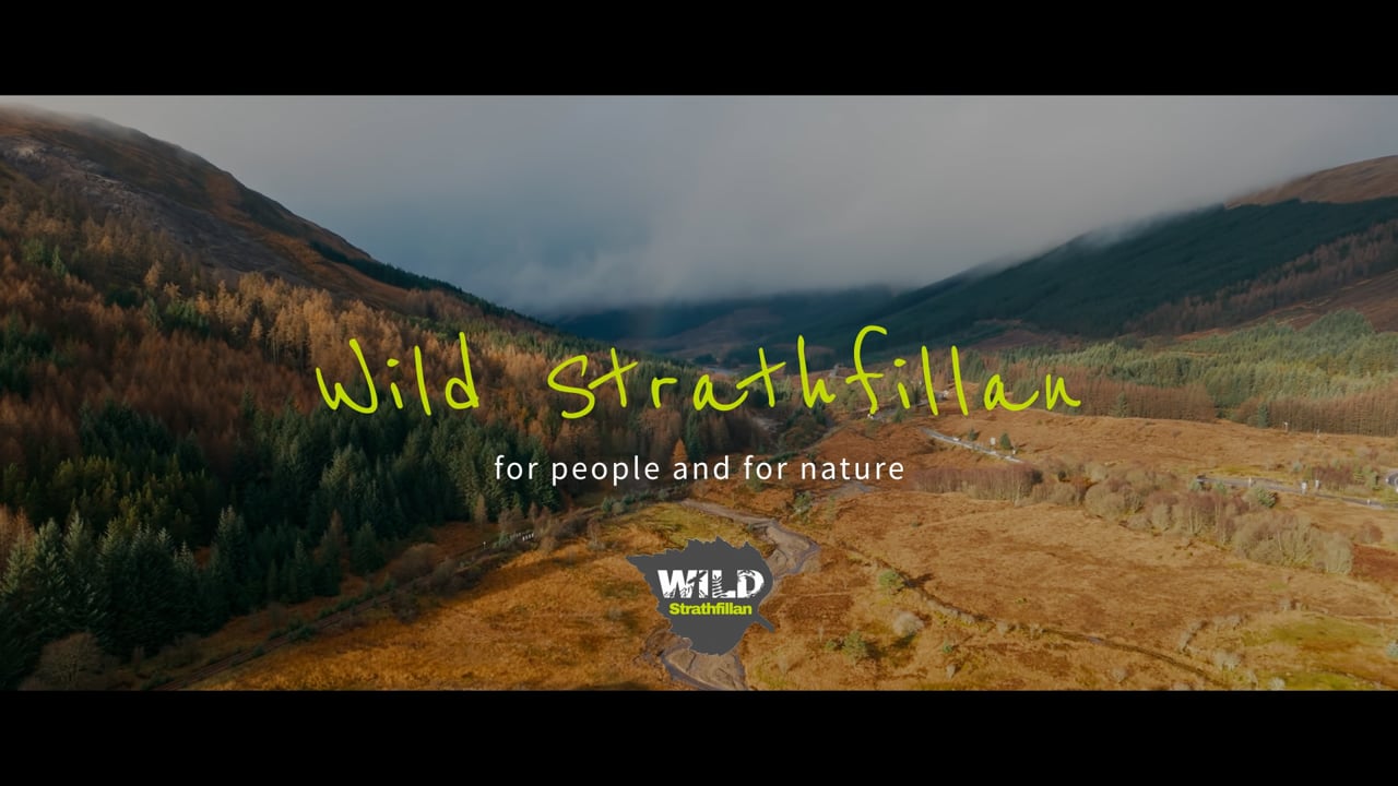 Wild Strathfillan, The Glasgow School of Art